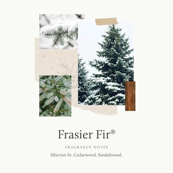 Thymes Frasier Fir Car Vent Clip Air Freshener + Refills - Long-Lasting Car Fragrance Diffuser Set With Fresh Scent by Thymes - Image 3