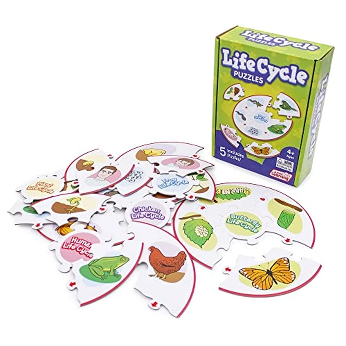 Junior Learning Life Cycle Science Learning Puzzles by Junior Learning - Image 2