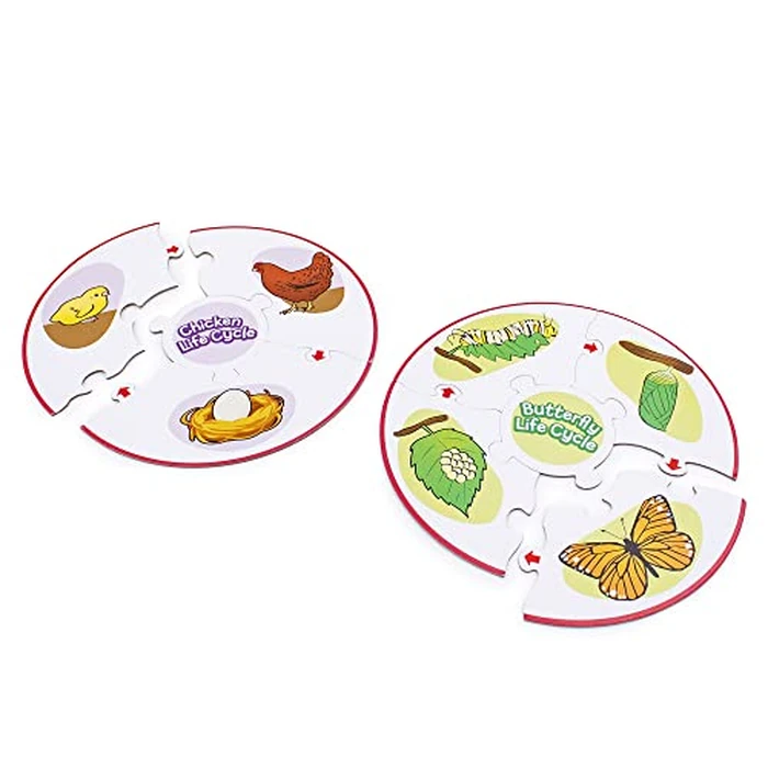 Junior Learning Life Cycle Science Learning Puzzles by Junior Learning - Image 4