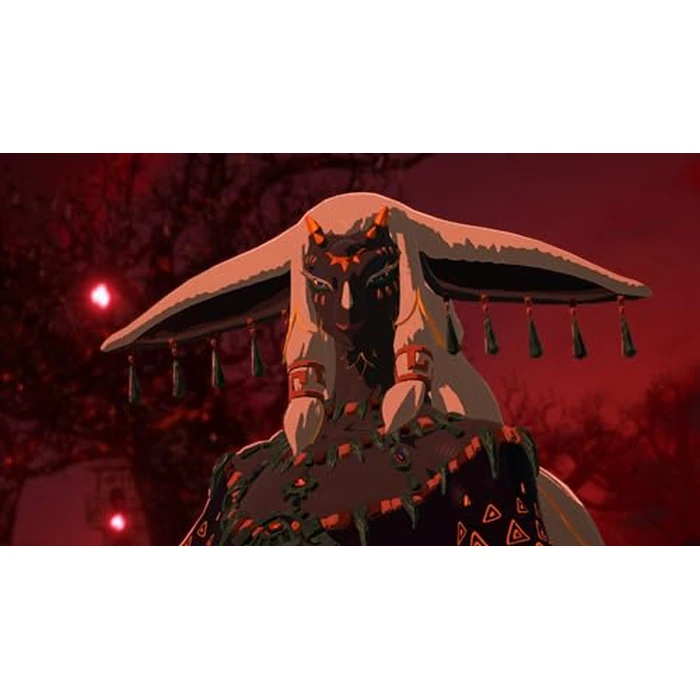 Hyrule Warriors: Age of Imprisonment (Nintendo Switch 2) by Nintendo - Image 6