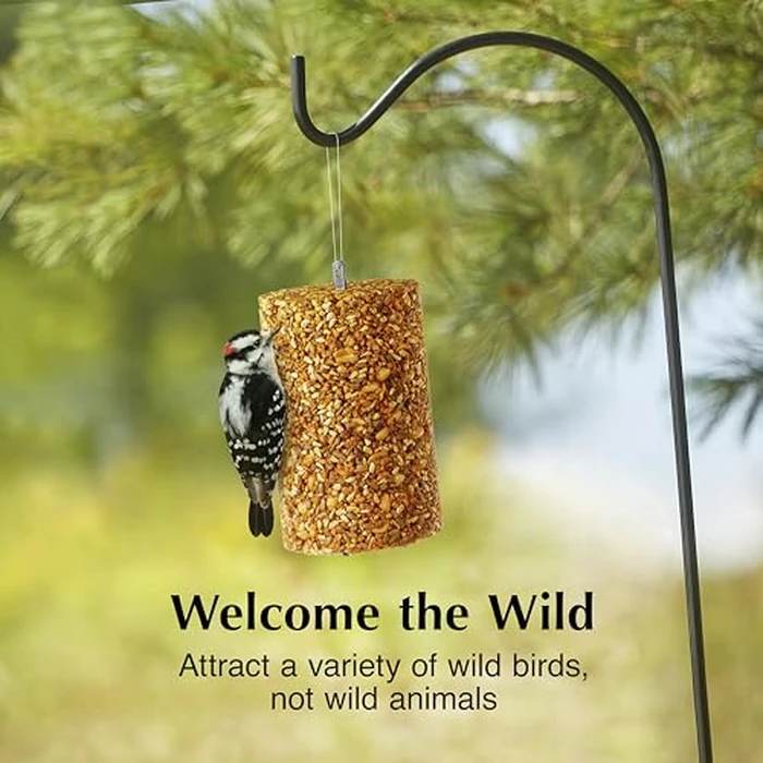 C&S Ready to Use Hot Pepper Bird Seed Cylinder, Spicy Wild Bird Outdoor Feeder with Hanger, 1.76 Pound Cylinder, 2 Pack by C&S - Image 3