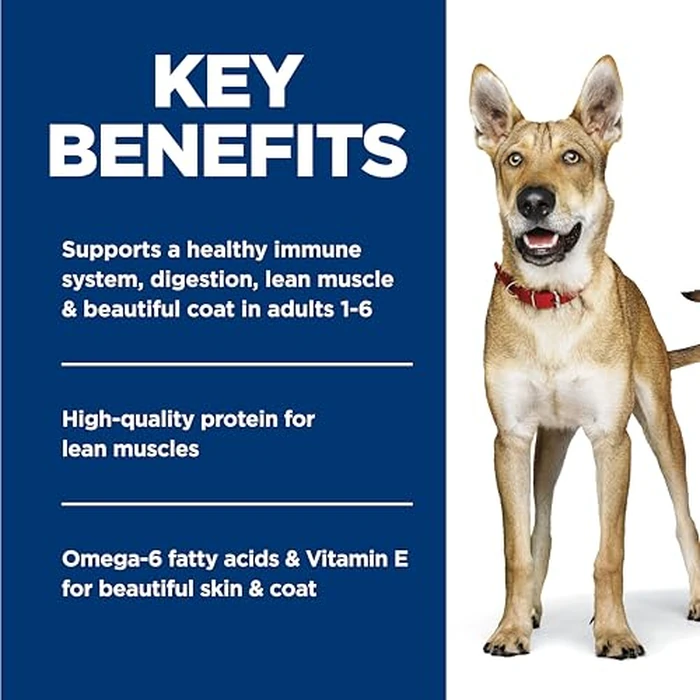 Hill's Science Diet Adult Salmon & Barley Entree Dog Food 12 x 370 g Can by Hill's Science Diet - Image 4