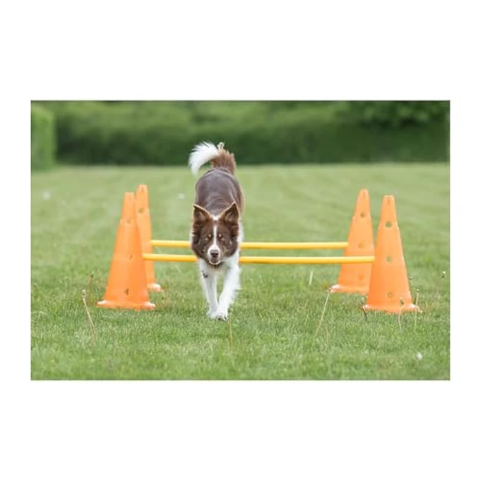 Trixie Dog Agility Hurdle Cone Set - Dog Agility Set with Height Adjustable Crossbar for Beginners & Advanced, Dog Agility Equipment for Dog Obstacle Courses - 6 x Cones, 3 x Agility Rods by TRIXIE - Image 7