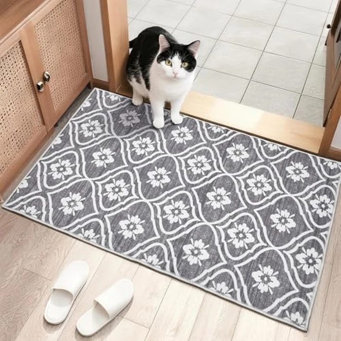 2x3 Washable Small Kitchen Rug, Front Door Mat Indoor, Ultra-Thin Moroccan Print Pattern Entrance Area Rugs Carpet Stain Resistant for Entry Hallway Kids Room Laundry Bedroom, Light Gray by EcoNest - Used - Like New condition - CA$13.38
