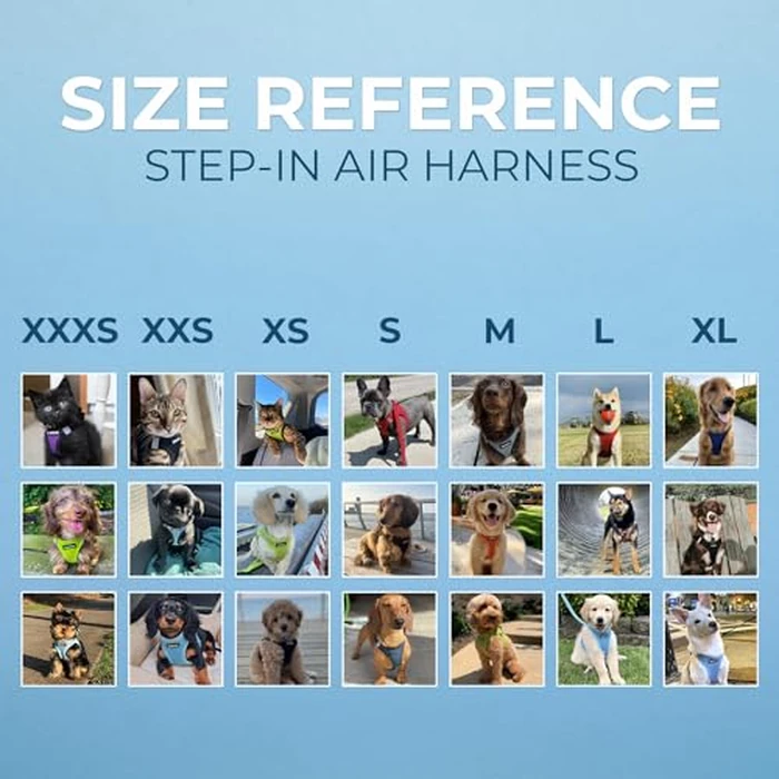 Best Pet Supplies Voyager Step-in Air Dog Harness - All Weather Mesh, Reflective, No Pull Harness for Small, Medium Dogs, Cats - Secure with Hook & Loop Fastener, Buckle, Double D-Rings - Black, L by Best Pet Supplies - Image 6