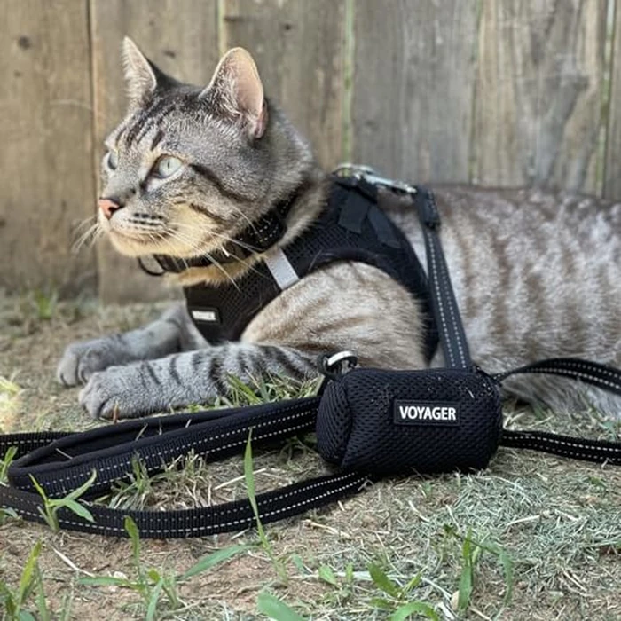 Best Pet Supplies Voyager Step-in Air Dog Harness - All Weather Mesh, Reflective, No Pull Harness for Small, Medium Dogs, Cats - Secure with Hook & Loop Fastener, Buckle, Double D-Rings - Black, L by Best Pet Supplies - Image 8