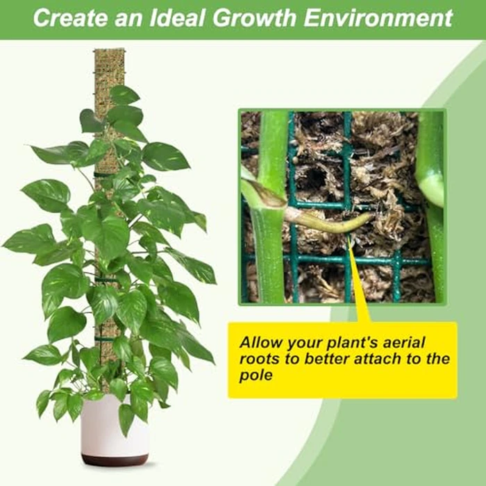 60"/40"/24" Metal Moss Pole, D Shape Sphagnum Moss Pole, Moss Poles for Climbing Plants, Monstera, Indoor Climbing Plants (2 Each of 40" 24") by HOLANHING - Image 5