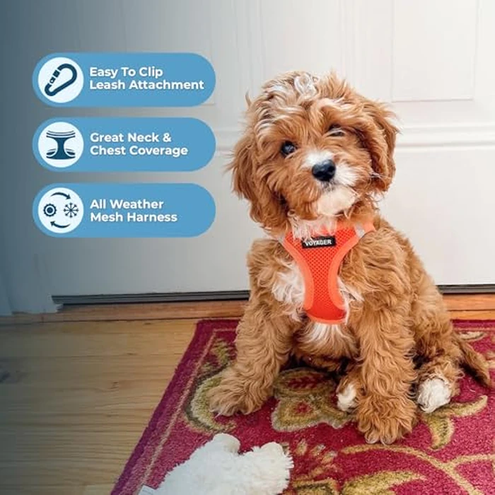 Best Pet Supplies Voyager Step-in Air Harness - All Weather Mesh, Reflective, No Pull Harness for Dogs, Cats - Secure with Hook & Loop Fastener, Buckle, Double D-Rings - Orange, L by Best Pet Supplies - Image 2