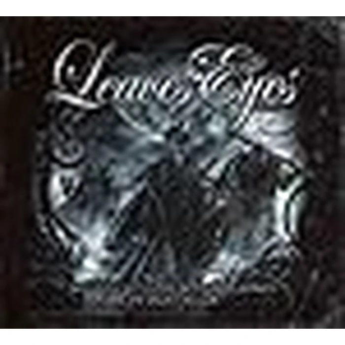 Leaves' Eyes - We Came With the Northern Winds - En Saga I Belgia (2DVD / 2CD) by NAPALM RECORDS - Image 2