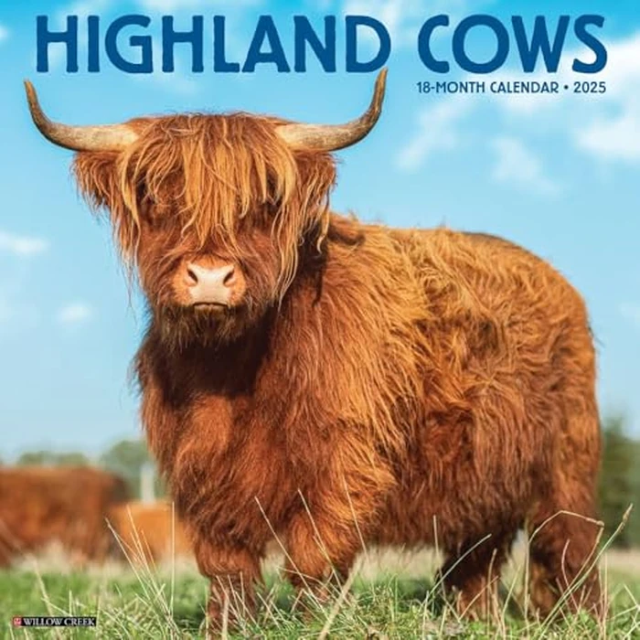 Highland Cows 2025 12" x 12" Wall Calendar by WILLOW CREEK - Used - Like New condition - CA$11.69