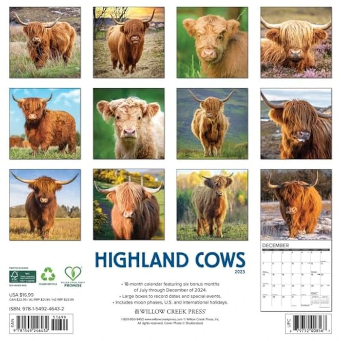 Highland Cows 2025 12" x 12" Wall Calendar by WILLOW CREEK - Image 2