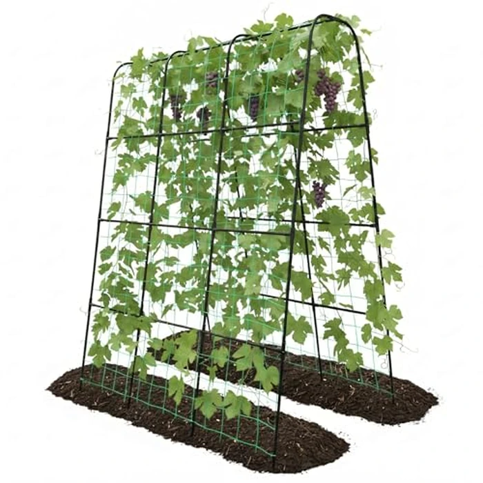 Trellume Cucumber Trellis - 62.4"*50" Cucumber Trellis for Raised Bed with Plastic-Coated Steel Pipe, U-Shape Garden Trellis for Climbing Plants, Garden Trellis for Cucumbers, Beans(Black) by Trellume - Used - Very Good condition - US$34.93