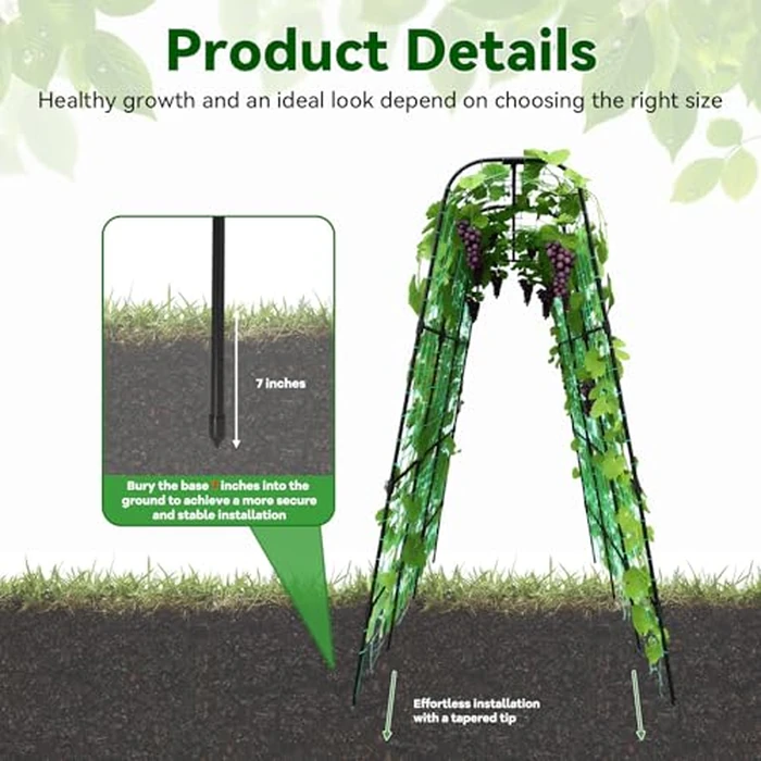 Trellume Cucumber Trellis - 62.4"*50" Cucumber Trellis for Raised Bed with Plastic-Coated Steel Pipe, U-Shape Garden Trellis for Climbing Plants, Garden Trellis for Cucumbers, Beans(Black) by Trellume - Image 2