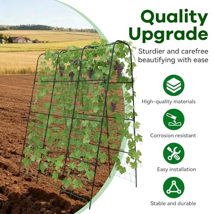 Trellume Cucumber Trellis - 62.4"*50" Cucumber Trellis for Raised Bed with Plastic-Coated Steel Pipe, U-Shape Garden Trellis for Climbing Plants, Garden Trellis for Cucumbers, Beans(Black) by Trellume - Image 3