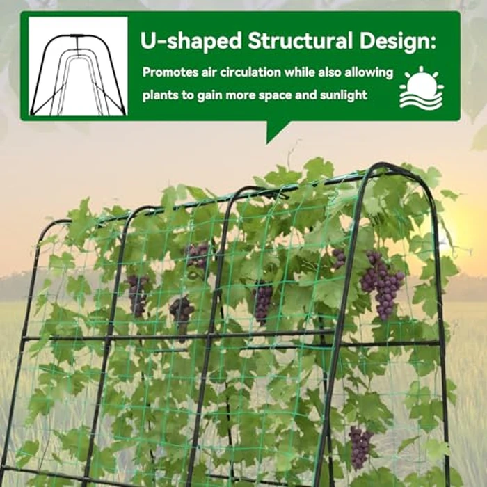 Trellume Cucumber Trellis - 62.4"*50" Cucumber Trellis for Raised Bed with Plastic-Coated Steel Pipe, U-Shape Garden Trellis for Climbing Plants, Garden Trellis for Cucumbers, Beans(Black) by Trellume - Image 5
