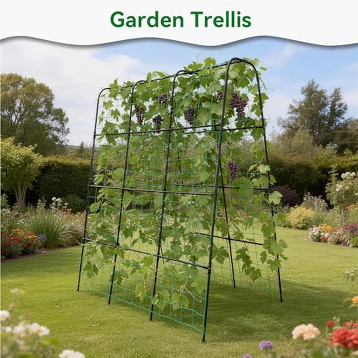 Trellume Cucumber Trellis - 62.4"*50" Cucumber Trellis for Raised Bed with Plastic-Coated Steel Pipe, U-Shape Garden Trellis for Climbing Plants, Garden Trellis for Cucumbers, Beans(Black) by Trellume - Image 7