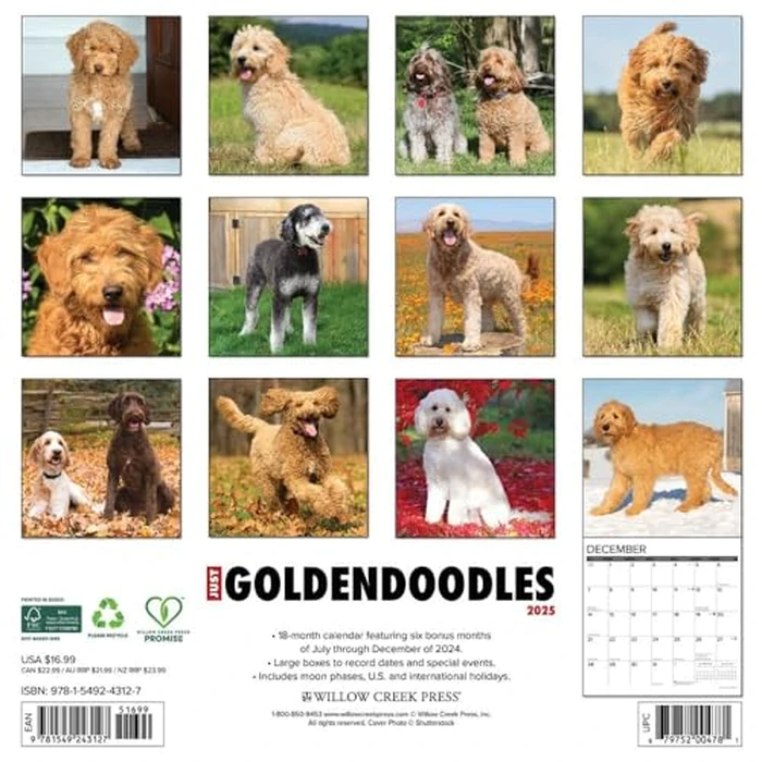 Just Goldendoodles 2025 12" x 12" Wall Calendar by WILLOW CREEK - Image 2