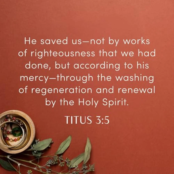 Titus - Bible Study for Women with Video Access: Displaying the Gospel of Grace by LifeWay Press - Image 3