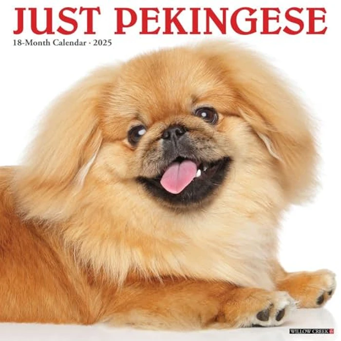 Just Pekingese 2025 12" x 12" Wall Calendar by WILLOW CREEK - Image 1