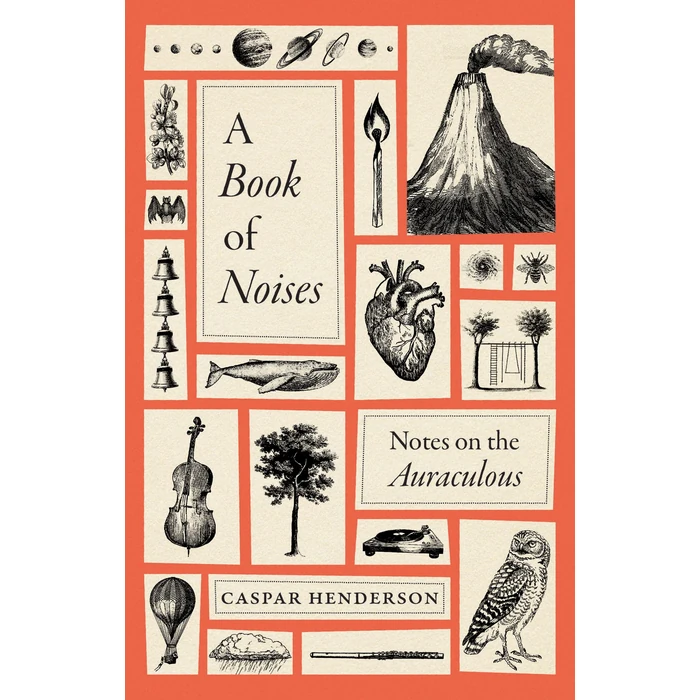 A Book of Noises: Notes on the Auraculous by University of Chicago Press - Used - Acceptable condition - CA$25.40