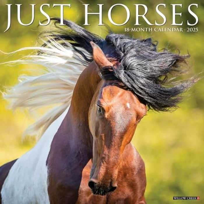 Just Horses 2025 12" x 12" Wall Calendar by WILLOW CREEK - Image 1