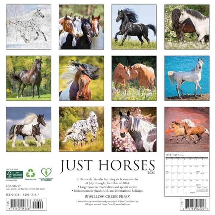 Just Horses 2025 12" x 12" Wall Calendar by WILLOW CREEK - Image 3