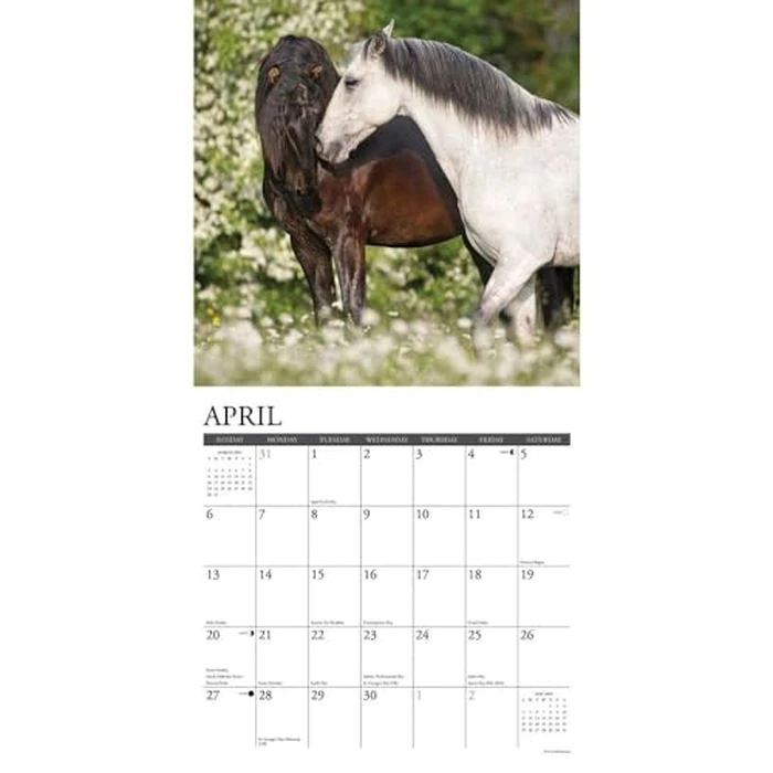 Just Horses 2025 12" x 12" Wall Calendar by WILLOW CREEK - Image 4
