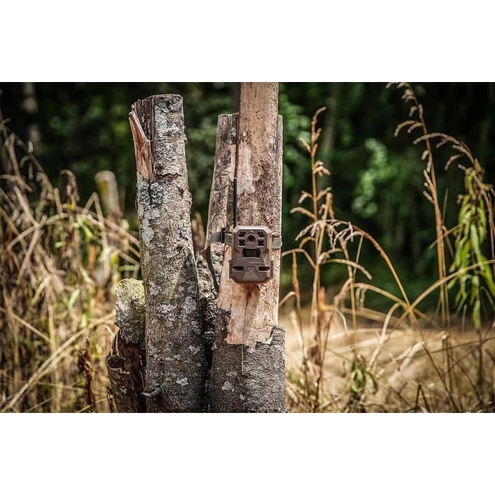 Moultrie Edge Cellular Trail Camera -Auto Connect - Nationwide Coverage - 720p Video with Audio - Built in Memory - Cloud Storage - 80 ft Low Glow IR LED Flash by Moultrie - Image 3