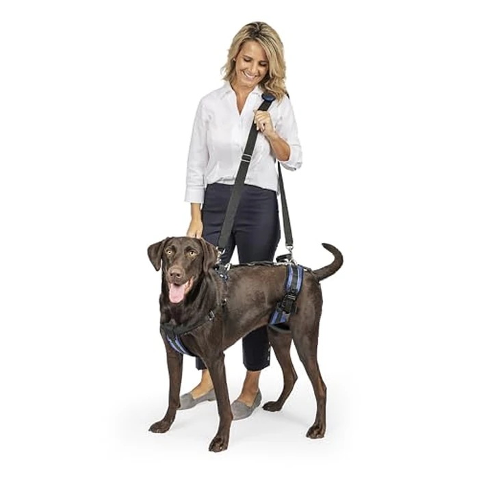 PetSafe CareLift Support Harness - Full-Body Lifting Aid with Handle - Great for Pet Mobility and Older Dogs - Comfortable, Breathable Material - Easy to Adjust - Large by PetSafe - Used - Good condition - CA$54.10