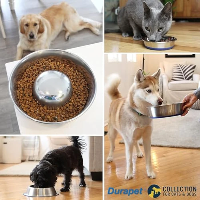 OurPet's Durapet Stainless Steel Bowl, 4 Cups, 6.9''X6.9''X2.5'' by Our Pets - Image 5