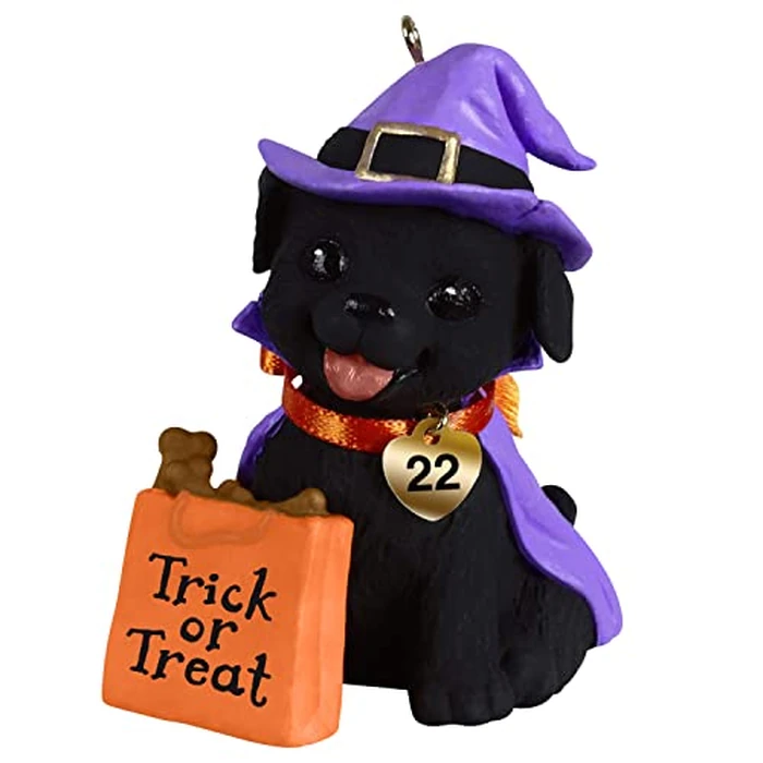 Hallmark Keepsake Halloween Ornament 2022 Year-Dated, Puppy Love Howl-O-Ween by Hallmark Keepsake - Used - Like New condition - CA$13.32