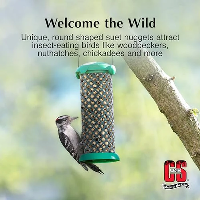 C&S Wild Bird Woodpecker Suet Nuggets Mega Box, 8 Pounds by C&S - Image 4