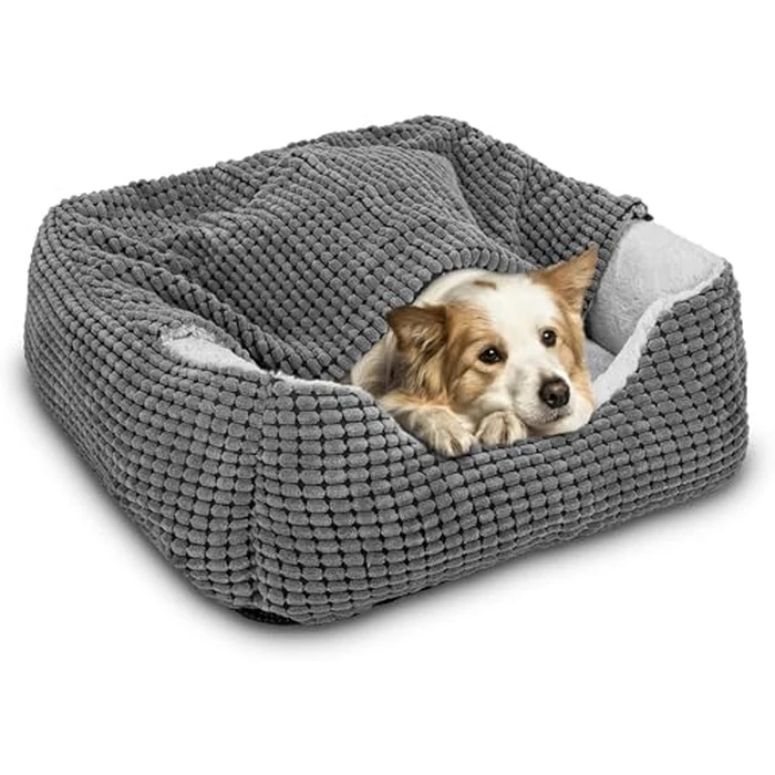 GASUR Dog Beds for Small Dogs with Cover Cave, Cat Beds for Indoor Cats, Rectangle Hooded Dog Puppy Bed with Blanket, Cozy Anti-Anxiety, Anti-Slip Bottom and Machine Washable (20", Grey) by GASUR - Used - Like New condition