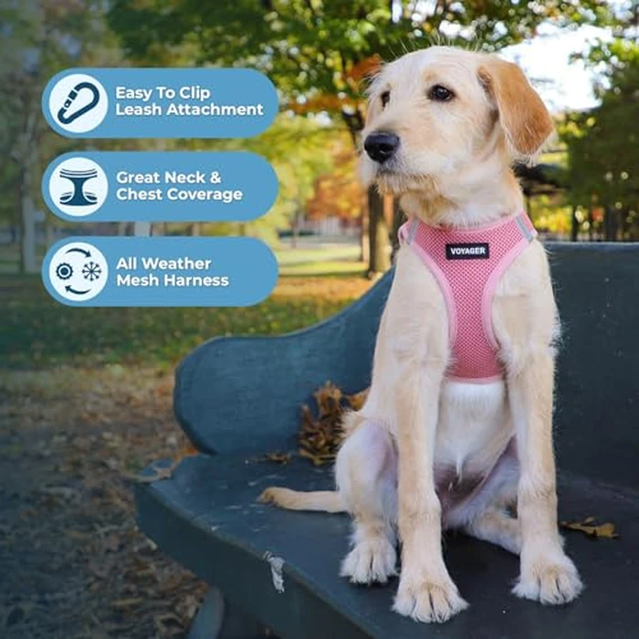 Best Pet Supplies Voyager Step-in Air Harness - All Weather Mesh, Reflective, No Pull Harness for Dogs, Cats - Secure with Hook & Loop Fastener, Buckle, Double D-Rings - Pink, M by Best Pet Supplies - Image 2
