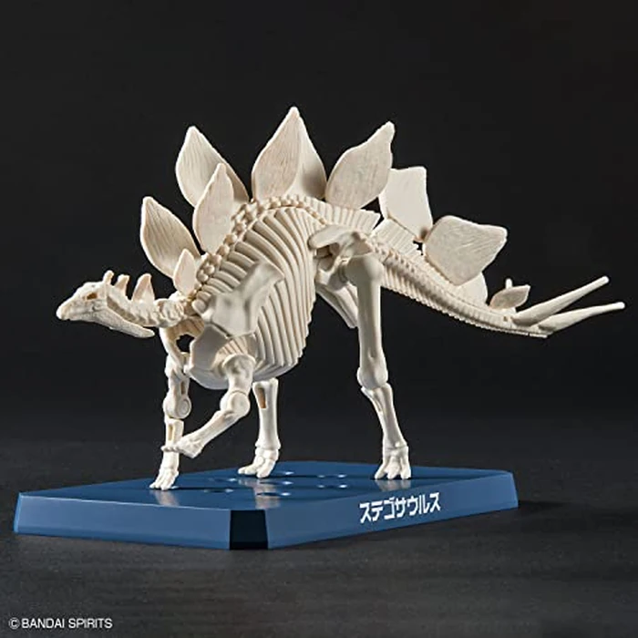 Dinosaur - New Dinosaur Plastic Stegosaurus (Tentative) - Model Kit by BANDAI SPIRITS - Image 2