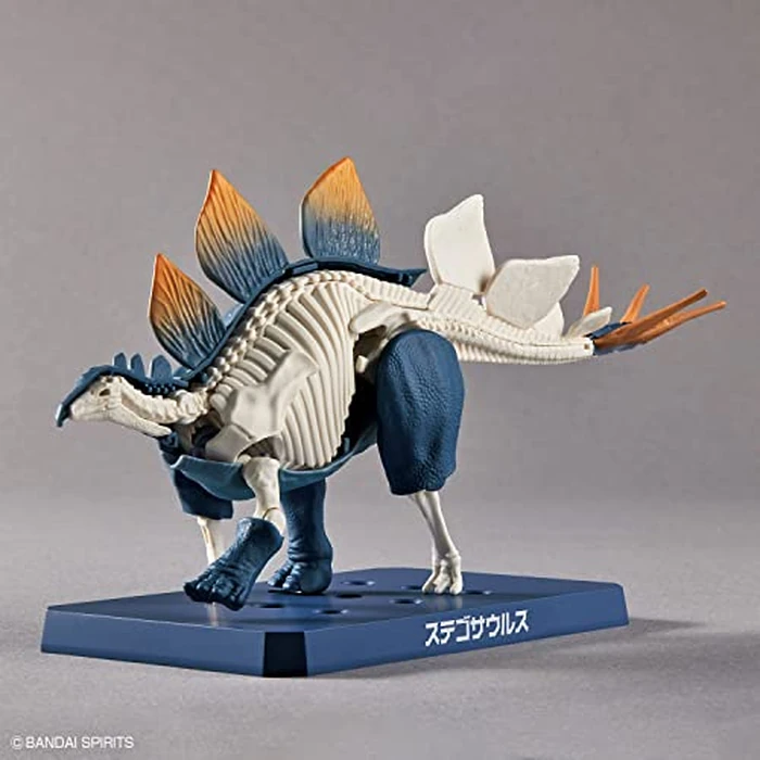 Dinosaur - New Dinosaur Plastic Stegosaurus (Tentative) - Model Kit by BANDAI SPIRITS - Image 6