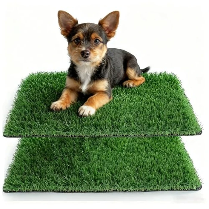 STARROAD-TIM 29.5X19.7 in Artificial Grass for Dog, Dog Grass Suitable for Indoor/Outdoor Dog Potty Training, Fake Grass Pad for Dog are Easy to Use and Clean, Dog Turf Grass Reusable by STARROAD-TIM - Image 1