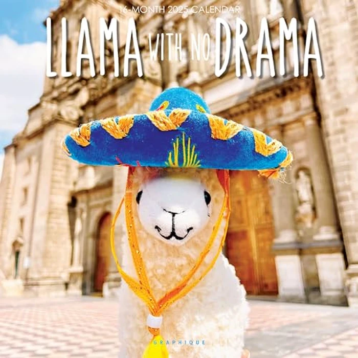 Graphique 2025 Llama with No Drama Wall Calendar | 12” x 12” | Thick Paper | Home & Office Organizer | Large Monthly Grid | 3 Languages & Marked Holidays | 4 Month Preview Page for 2026 by Graphique - Used - Good condition - CA$4.61