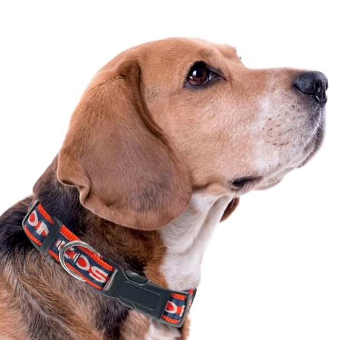 Pets First NFL Denver Broncos Pet Collar, Small by Pets First - Image 3