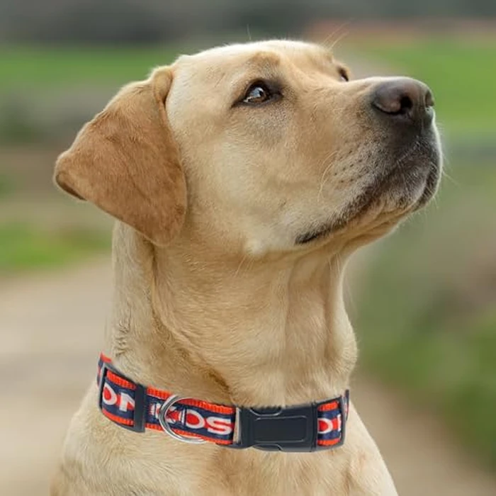 Pets First NFL Denver Broncos Pet Collar, Small by Pets First - Image 5