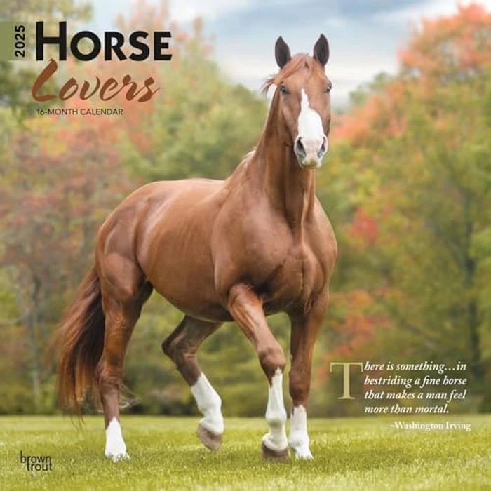 Horse Lovers | 2025 12 x 24 Inch Monthly Square Wall Calendar | BrownTrout | Animals Equestrian by BrownTrout - Image 1
