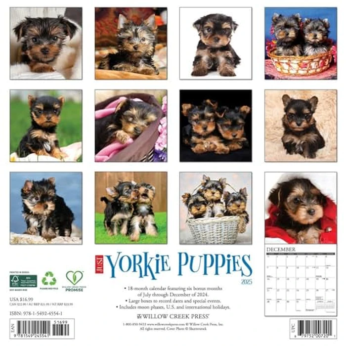 Just Yorkie Puppies 2025 12" x 12" Wall Calendar by WILLOW CREEK - Image 3