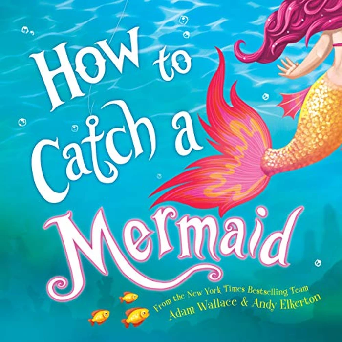 How to Catch a Mermaid by Sourcebooks Wonderland - Used - Very Good condition - CA$11.97