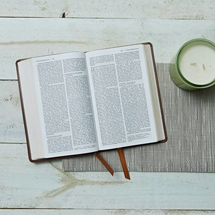 NRSV Catholic Edition Gift Bible, White Leathersoft (Comfort Print, Holy Bible, Complete Catholic Bible, NRSV CE): Holy Bible by Catholic Bible Press - Image 4