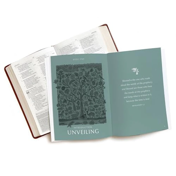 Revelation - Bible Study Book with Video Access: Eternal King, Everlasting Kingdom by Lifeway Press - Image 6