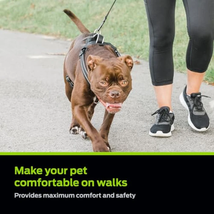 Premier Pet No Pull Comfort Harness - Medium, Adjustable Fit for Dogs 30-70 lbs, Reflective Stitching, Padded Handle for Extra Control, Front Leash Attachment by Premier Pet - Image 2