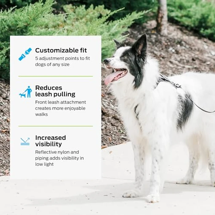 Premier Pet No Pull Comfort Harness - Medium, Adjustable Fit for Dogs 30-70 lbs, Reflective Stitching, Padded Handle for Extra Control, Front Leash Attachment by Premier Pet - Image 3