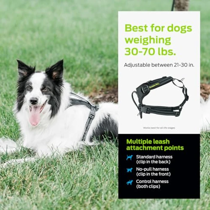 Premier Pet No Pull Comfort Harness - Medium, Adjustable Fit for Dogs 30-70 lbs, Reflective Stitching, Padded Handle for Extra Control, Front Leash Attachment by Premier Pet - Image 4
