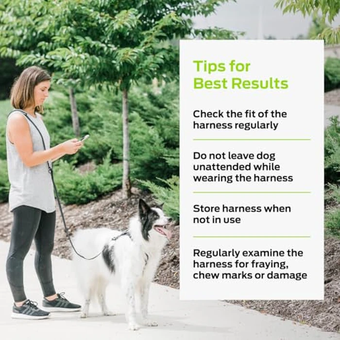 Premier Pet No Pull Comfort Harness - Medium, Adjustable Fit for Dogs 30-70 lbs, Reflective Stitching, Padded Handle for Extra Control, Front Leash Attachment by Premier Pet - Image 6