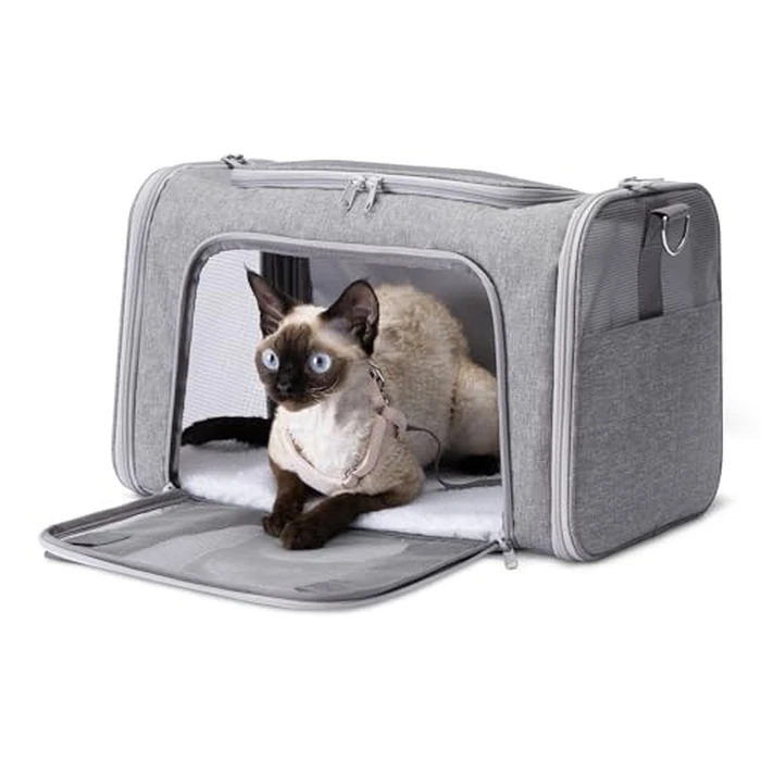 Amazon Basics Soft Cat & Dog Carrier with Adjustable Shoulder Strap, Airline-Approved, Foldable and Portable Design, Mesh Ventilation, Folds Flat for Storage by Amazon Basics - Used - Good condition
